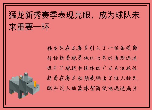 猛龙新秀赛季表现亮眼，成为球队未来重要一环