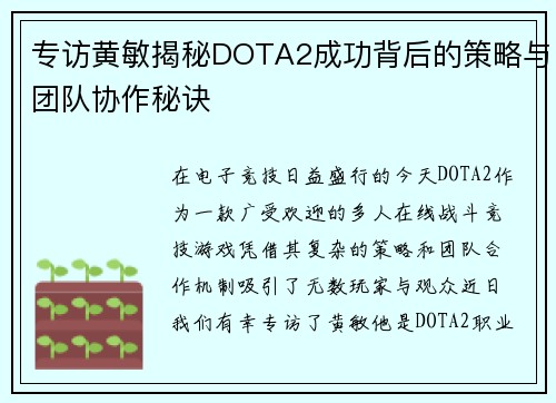 专访黄敏揭秘DOTA2成功背后的策略与团队协作秘诀